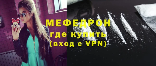 spice Инта