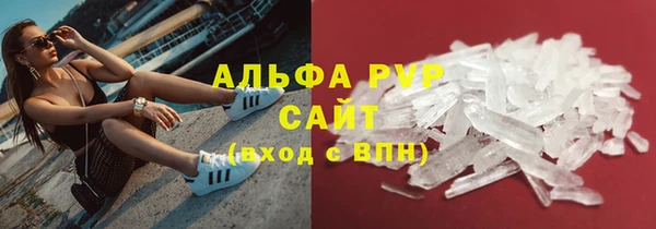 spice Инта