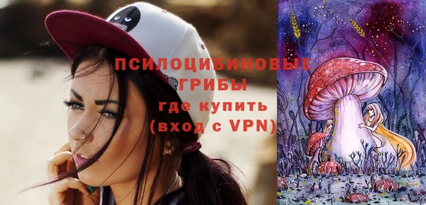 гашик Каменск-Шахтинский