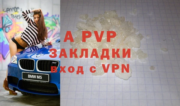 spice Инта