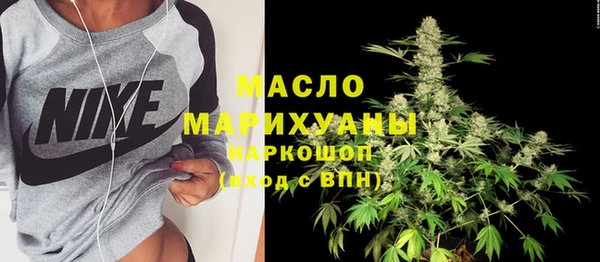 spice Инта